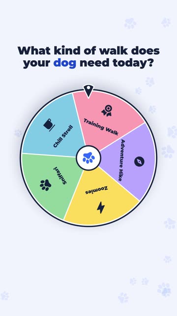 PawPath: Hook: the viewer picks